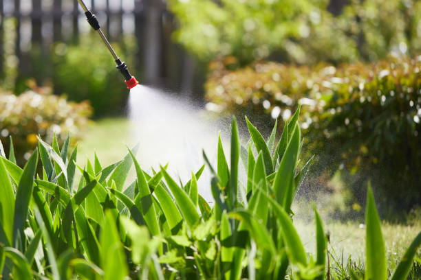 24/7 Emergency Wasp Removal experts in Privateer, SC