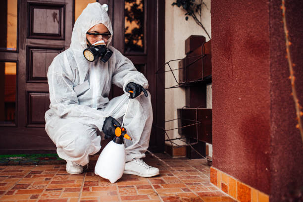 Reliable Wasp Removal contractor in Privateer, SC by Show Me Pest Control